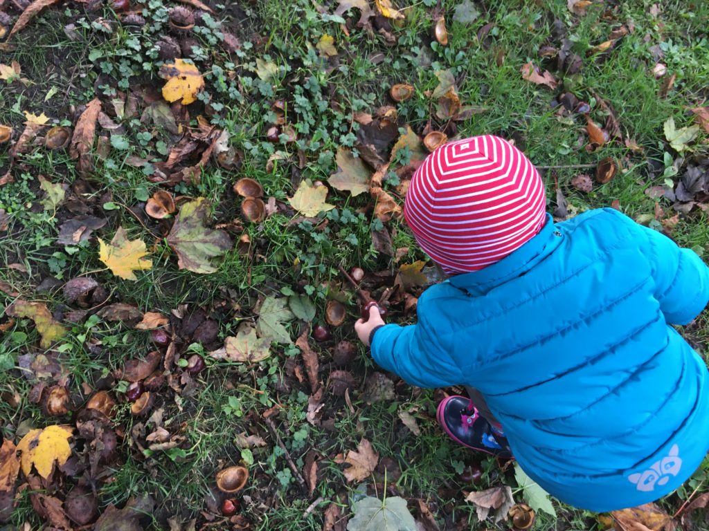 Herbst mit Kindern - Kastanien sammeln