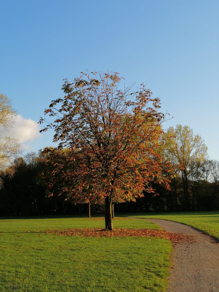 Herbst mit Kindern